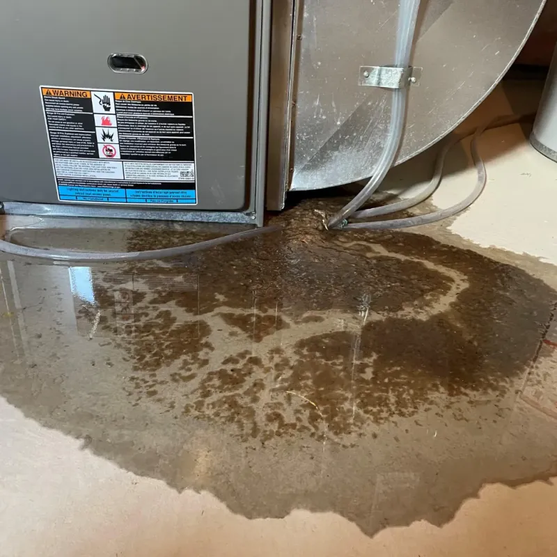 Appliance Leak Cleanup in Oakleaf Plantation, FL